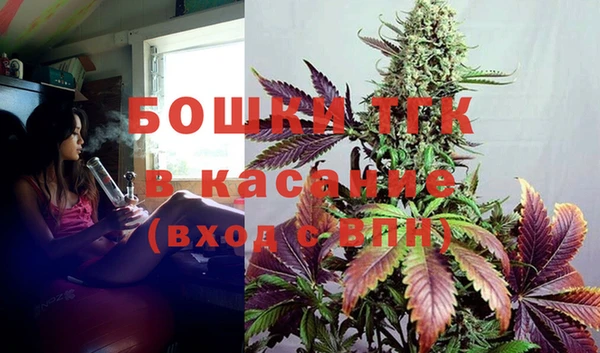 гашик Касимов