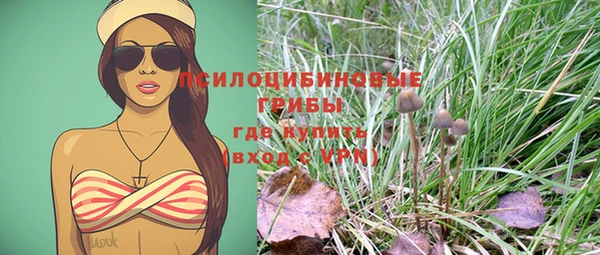 спиды Карталы