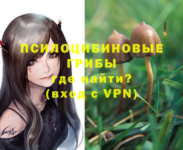 гашик Касимов