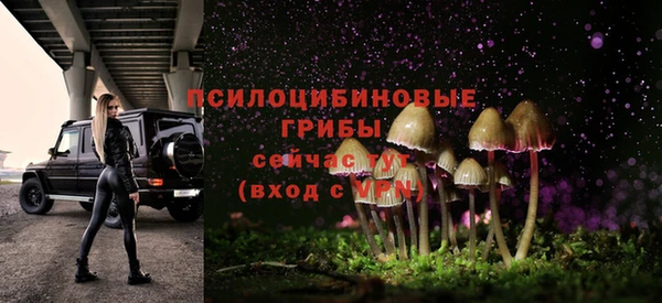 спиды Карталы