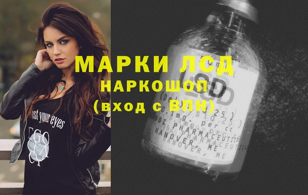 гашик Касимов