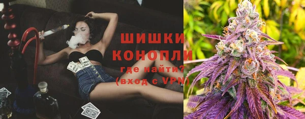 гашик Касимов