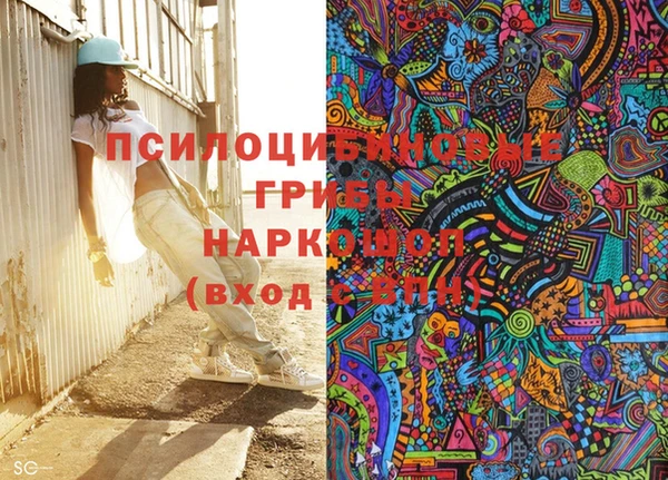 гашик Касимов