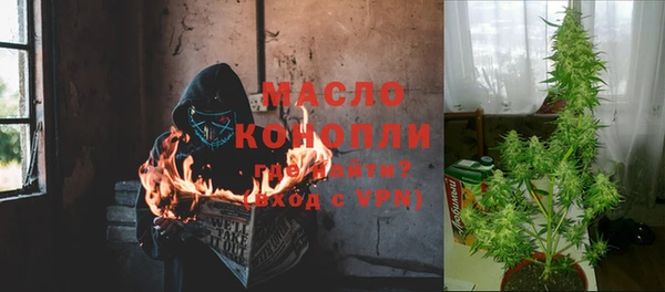 гашик Касимов