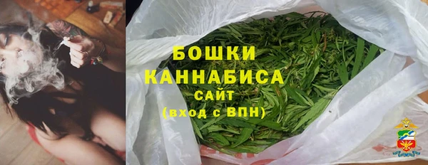 гашик Касимов