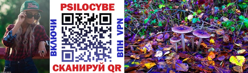 Псилоцибиновые грибы GOLDEN TEACHER блэк спрут tor Кодинск наркошоп